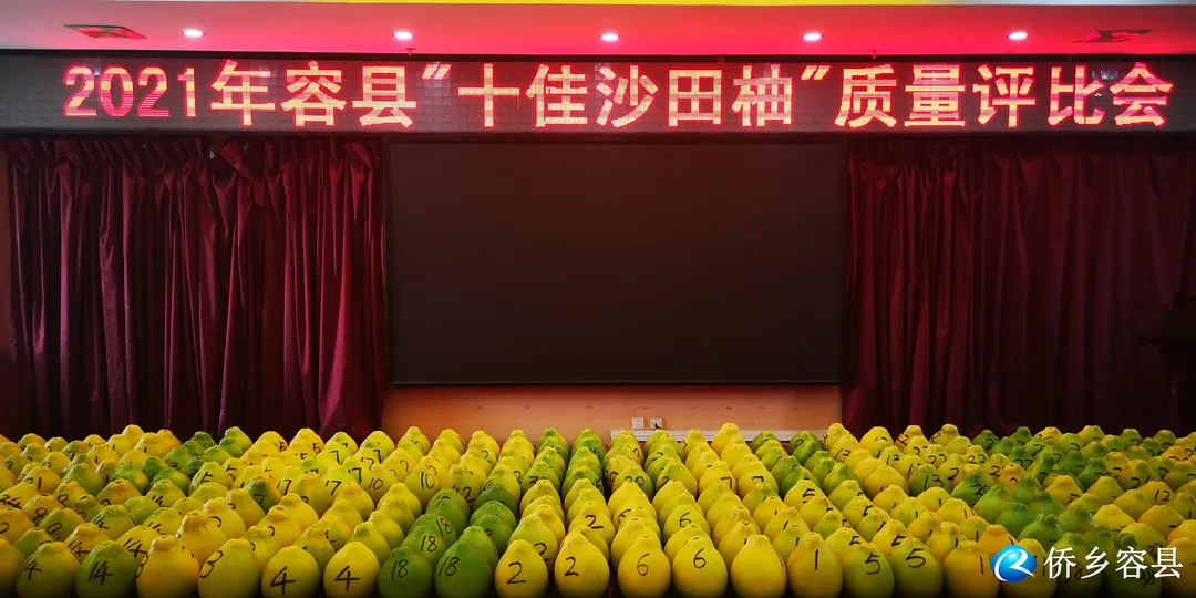 新鲜出炉!2021年容县“十佳沙田柚”获奖名单在这......