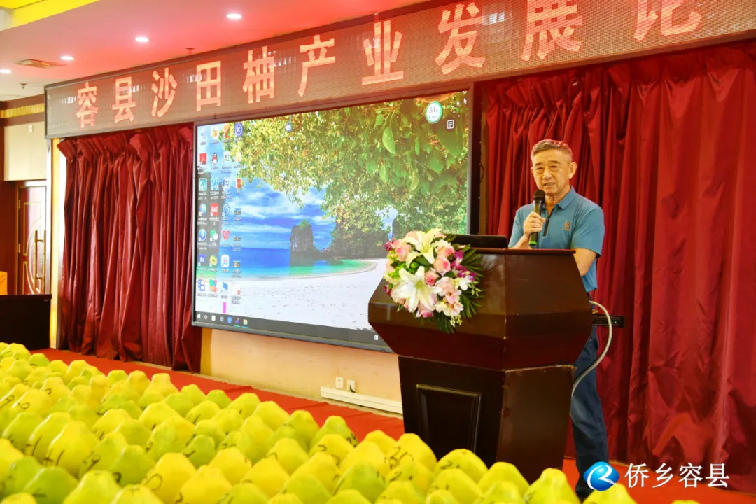 专家现场给建议!容县举办沙田柚产业发展论坛